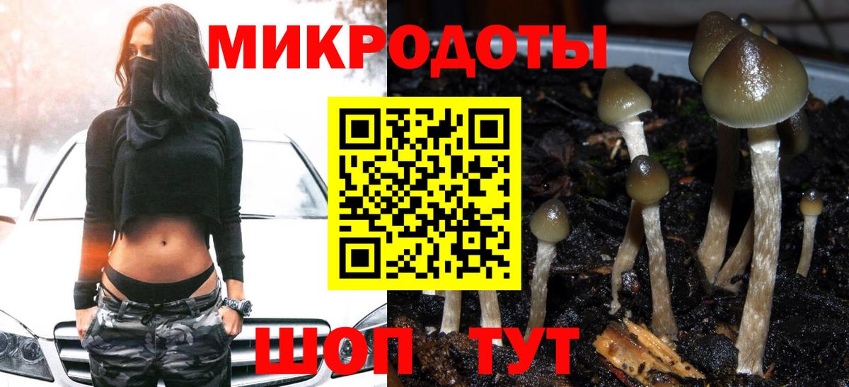 Псилоцибиновые грибы прущие грибы  Псилоцибиновые грибы Psilocybe  Магнитогорск  купить наркотики цена  Вход с VPN 