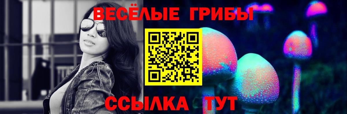Псилоцибиновые грибы мицелий Магнитогорск